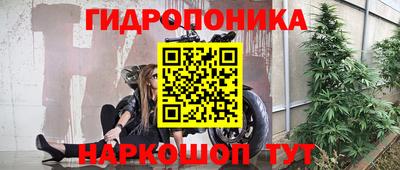 круглые Лесосибирск